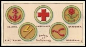 42 Scout's Badges 1